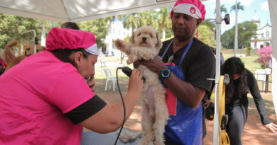 Cuidados com nossos Pets