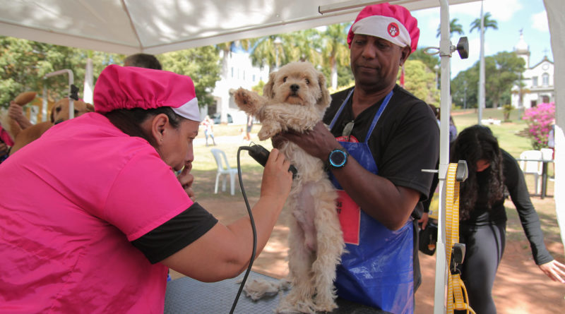 Cuidados com nossos Pets